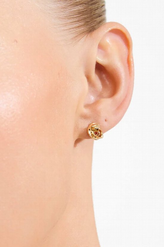 Briar Earrings